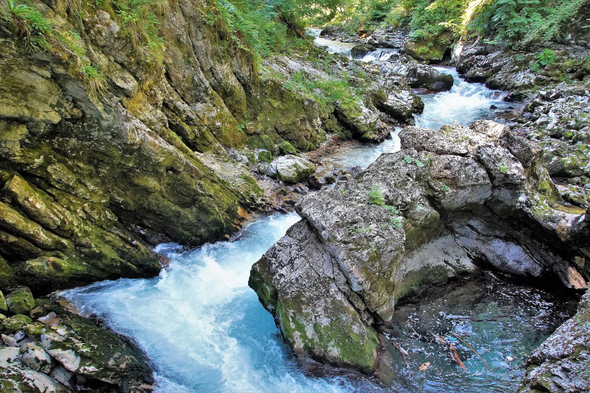 The Radovna running green and white through the Vintgar Gorge