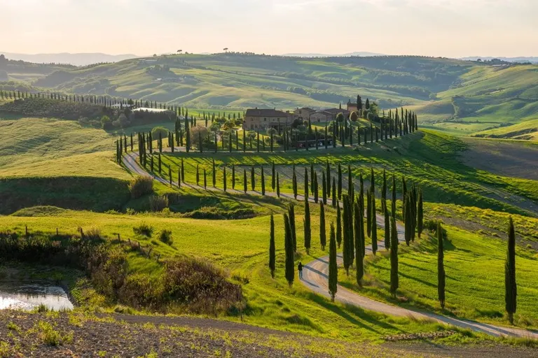 A cypress-lined road through the Tuscan countryside