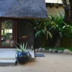 The call of the wild