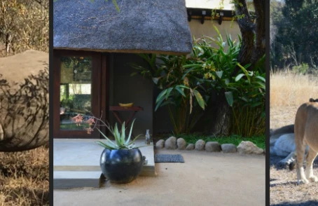 The call of the wild